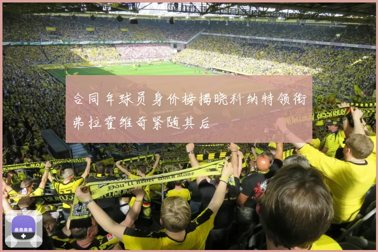 合同年球员身价榜揭晓科纳特领衔弗拉霍维奇紧随其后